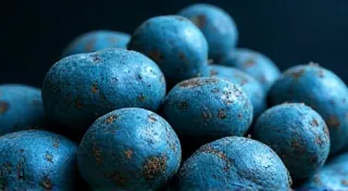 Blue Potatoes: A Guide to Growing and Enjoying This Unique Crop