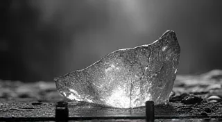Fractured Seasons:  Embracing Imperfection in a Kaleidoscope of Vegetables