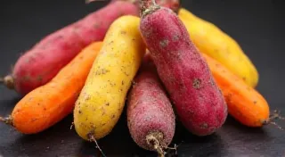 Oca: The Colorful Peruvian Ground Nut
