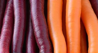 Purple Carrot vs Orange Carrot - Which one to choose?